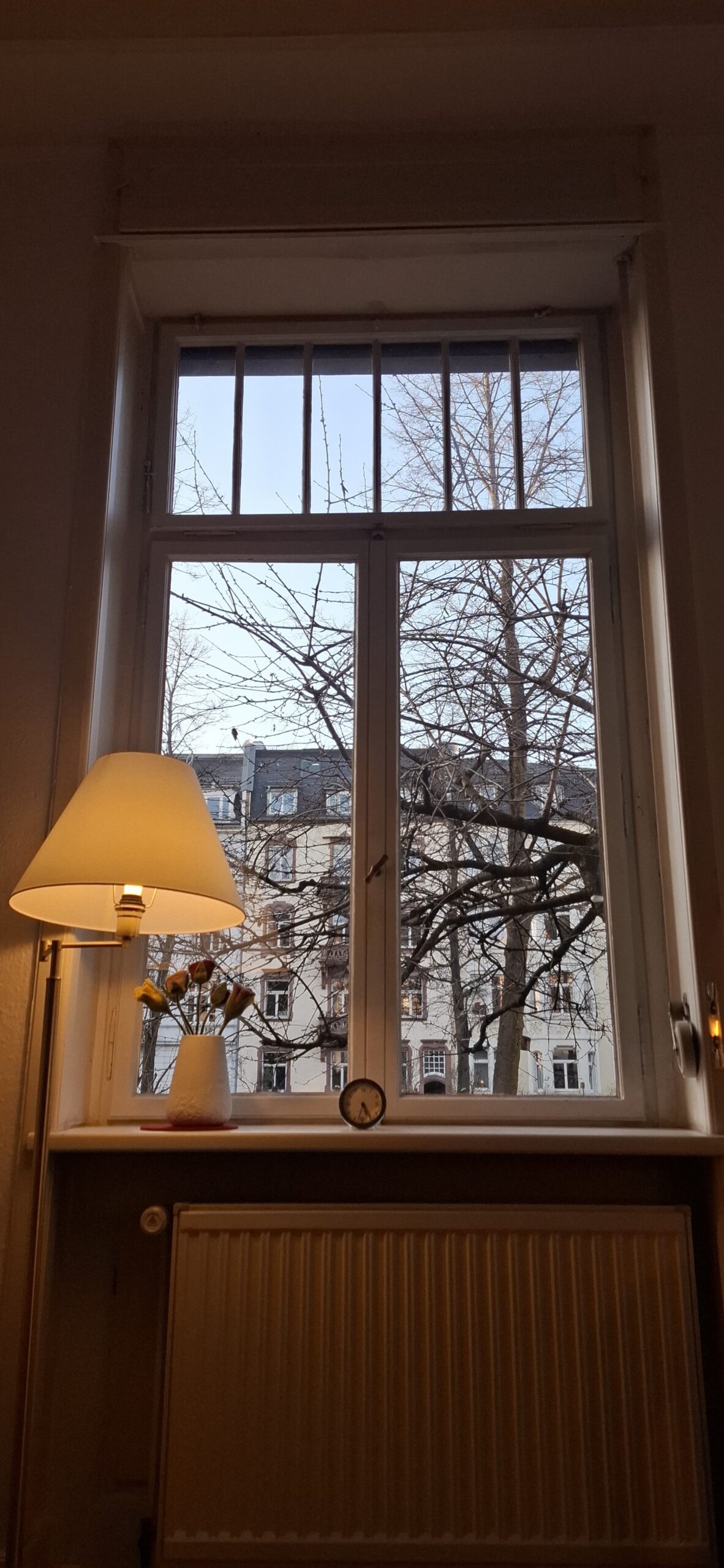 Bild aus dem Fenster des Praxisraumes.