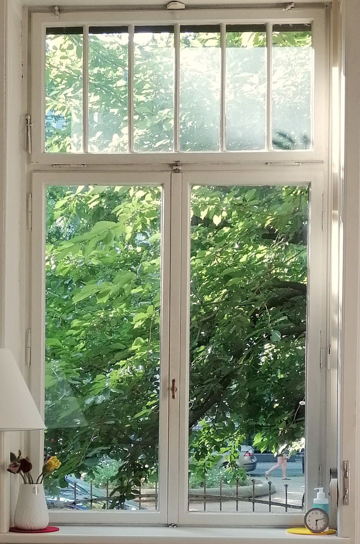 Bild aus dem Fenster des Praxisraumes im Sommer.