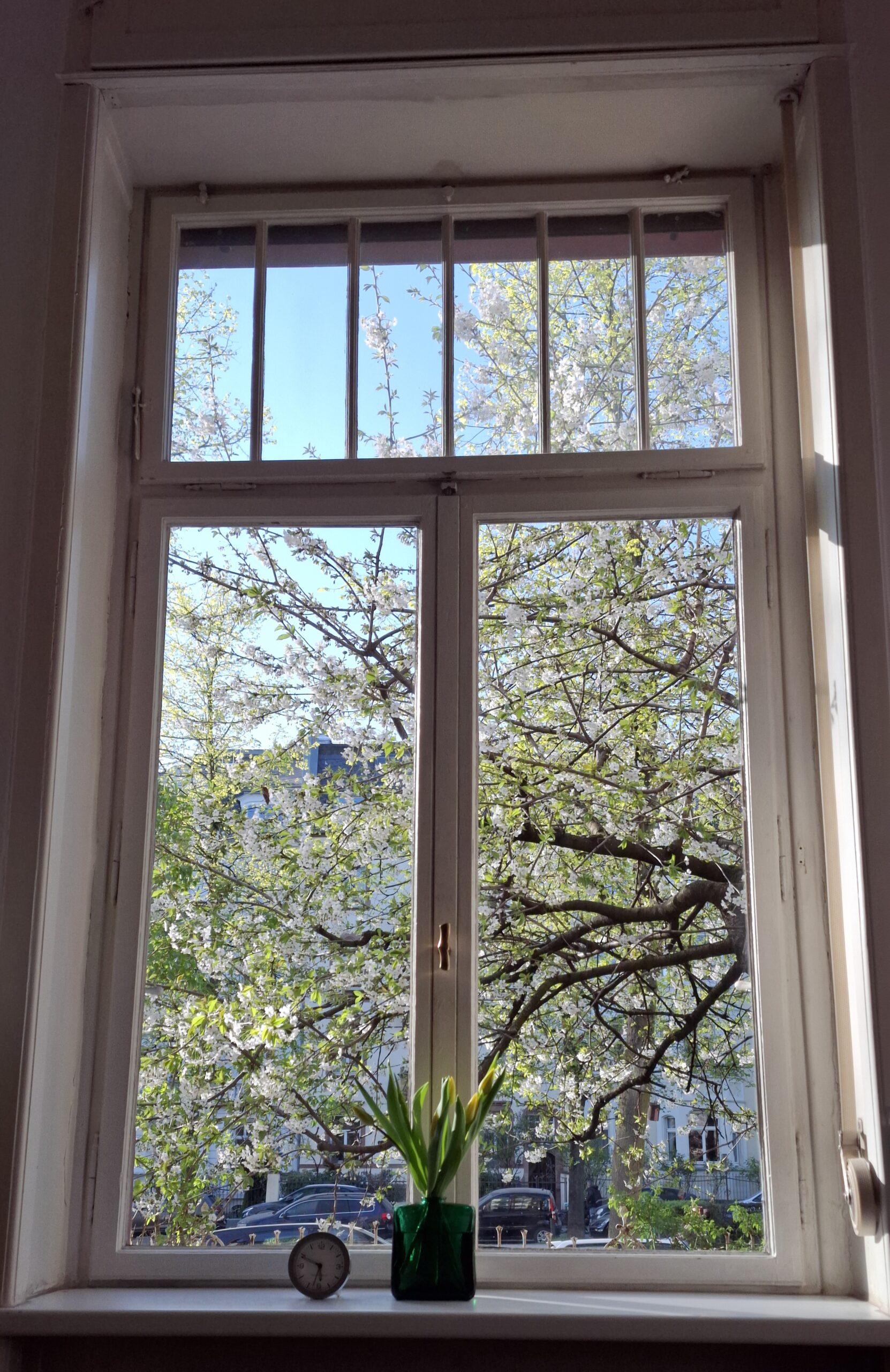 Bild aus dem Fenster des Praxisraumes im Frühling.